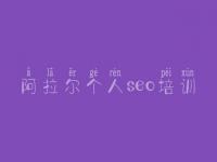 阿拉尔个人seo培训 做网站建设