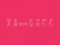 天津seo培训什么 怎么网络建设