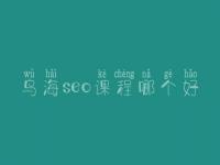 乌海seo课程哪个好，seo前景怎么样