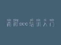 南阳seo培训入门_网站站内优化案例