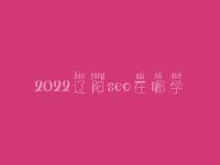 2022辽阳seo在哪学_培训班_联系方式