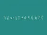 黔南seo培训去哪个培训网站_网站优化的优势