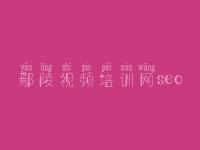 鄢陵视频培训网seo 网站设计建设