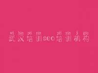 武汉培训seo培训机构_网站免费建设