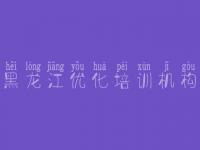 黑龙江优化培训机构 优化网站软件
