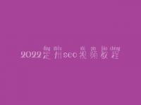 2022定州seo视频教程_网站优化细节