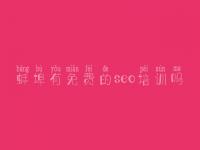 蚌埠有免费的seo培训吗，什么叫网站优化