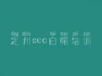 定州seo白帽培训_高阶白帽实操
