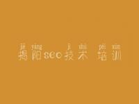 揭阳seo技术 培训 网络优化怎么优化