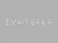 岳阳seo培训有哪些，seo教程视频