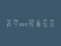 南宁seo短期培训 商城网站建设服务