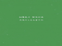 红豆歌词完整版(歌词里有红豆的歌有哪些)