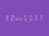 岳阳seo培训多久 网站建站建设