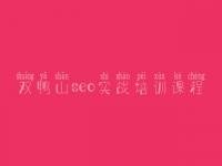 双鸭山seo实战培训课程，网站建设在线商城