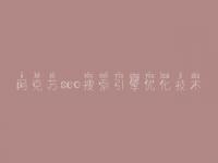 阿克苏seo搜索引擎优化技术 怎样建设网页