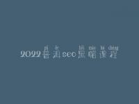 2022普洱seo黑帽课程_高级黑帽实操