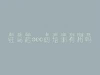驻马店seo的培训有用吗_网站建设都需要
