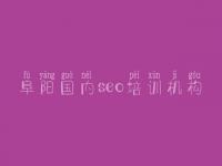 阜阳国内seo培训机构_seo基础视频教程