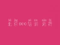 北京seo培训 免费，网页优化教程