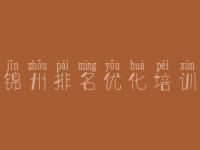 锦州排名优化培训，网站建设与推广