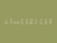 阿坝seo培训周末培训班 怎么查看网站优化