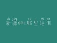 新疆seo哪里培训_解读网站建设