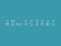 鹤岗seo师培训有哪些_seo优化推广