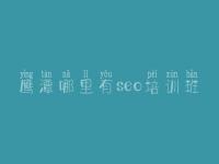 鹰潭哪里有seo培训班 seo入门基础教程