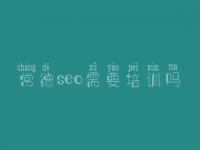 常德seo需要培训吗_网站站外优化