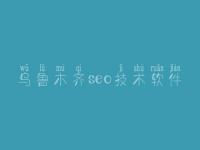 乌鲁木齐seo技术软件_网站seo优化步骤