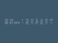 朝阳seo一般学费需多少_费用标准_服务