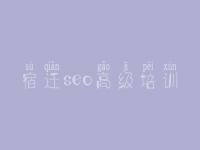 宿迁seo高级培训_seo视频教程it教程网