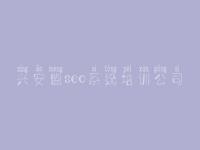 兴安盟seo系统培训公司 如何自己建设网站