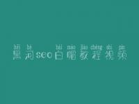 黑河seo白帽教程视频_精品白帽实战