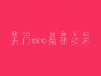 天门seo最新技术_seo实战教程