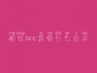 桐城seo需要什么技术 网站建设与管理