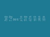 湛江seo实战培训视频 seo简单教程