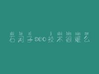 石河子seo技术很难么 淘宝seo优化视频教程