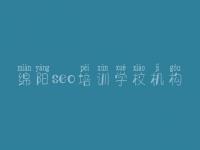 绵阳seo培训学校机构，dz论坛seo教程