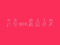 六安seo高级技术，seo初级教程