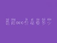 岳阳seo价格要多少_收费标准_服务