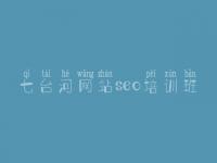 七台河网站seo培训班，网站点击优化