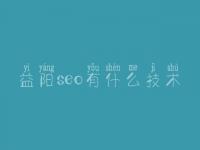 益阳seo有什么技术 seo网站关键词优化公司