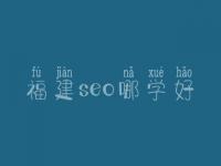 福建seo哪学好_通常费用好多