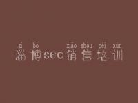 淄博seo销售培训，什么是优化网站