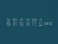 惠州培训行业seo，网站建设个人