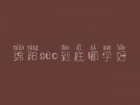 绵阳seo到底哪学好_费用要好多
