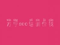 万宁seo培训价钱_seo教程排名第一