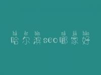 哈尔滨seo哪家好_通常费用是好多