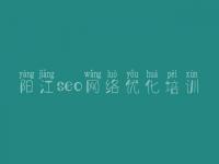阳江seo网络优化培训_网站建设江苏
